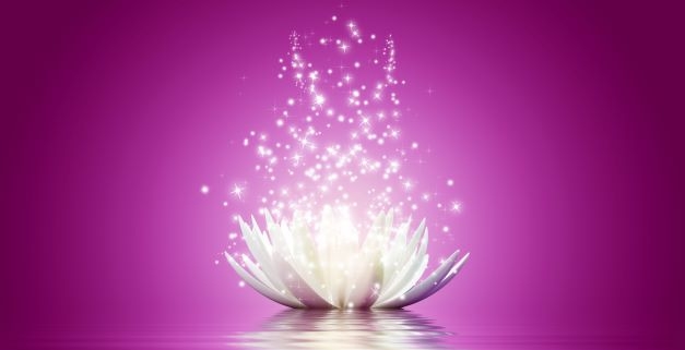 Lotus flower von astra concept