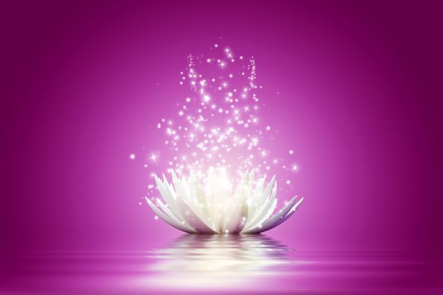 Lotus flower von astra concept
