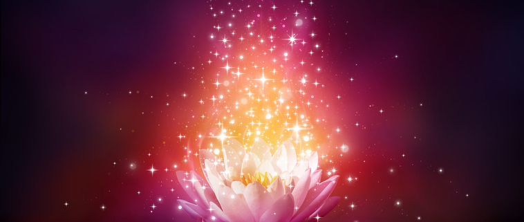 Magic flower on water von Romolo Tavani