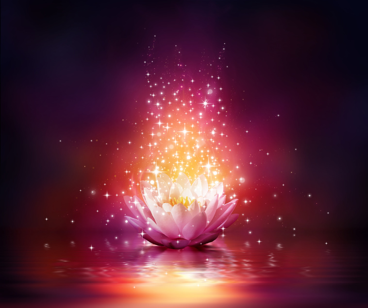 Magic flower on water von Romolo Tavani